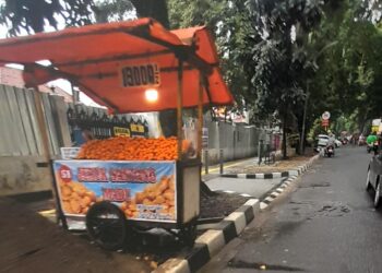 Pedagang Musiman Di Jalan Ahmad Yani Bermunculan, Gerobak Duduki Jalur Hijau