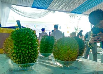 Jadi Kabupaten Penghasil Durian, Bogor Siap Tembus Pasar Global