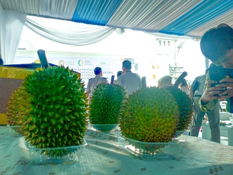 Jadi Kabupaten Penghasil Durian, Bogor Siap Tembus Pasar Global