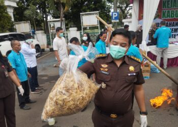 Kejari Kabupaten Bogor Musnahkan Keripik Pisang Mengandung Zat Narkoba
