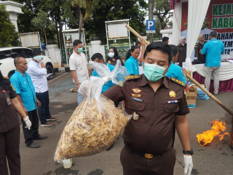 Kejari Kabupaten Bogor Musnahkan Keripik Pisang Mengandung Zat Narkoba