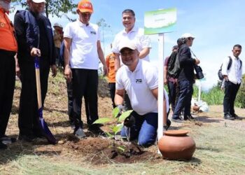 BPBD Kabupaten Bogor Lakukan Penghijauan Total, Cegah 161 Bencana Terulang Di Kawasan Puncak Cisarua
